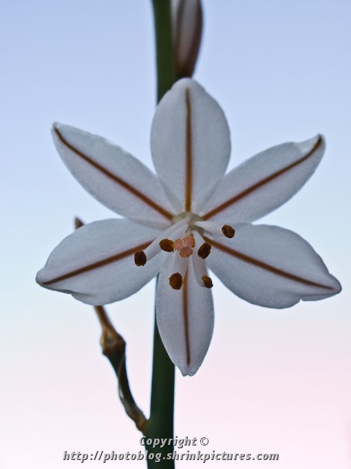 Backlit
