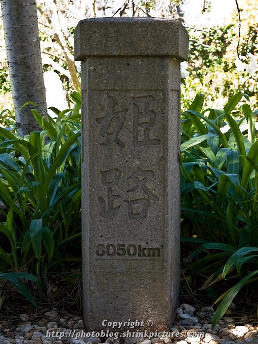8050