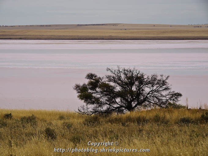 Pink Lake