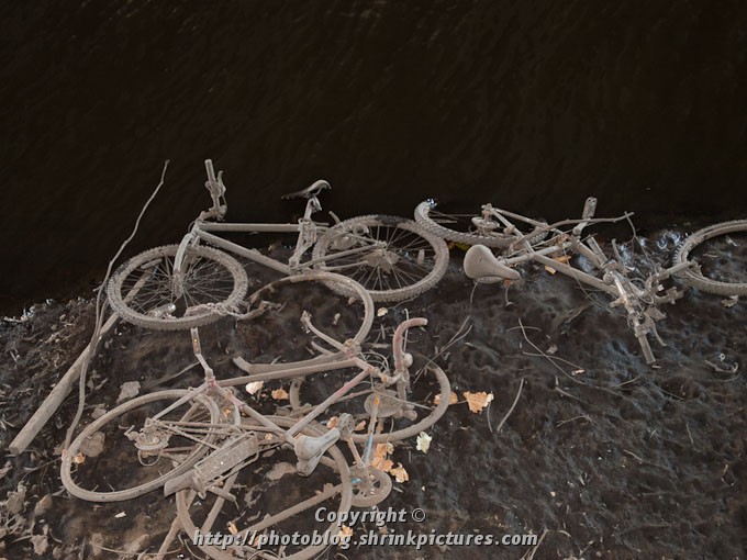 Bicycle Graveyard