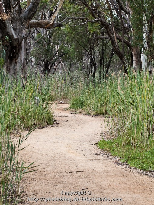 Walking trail
