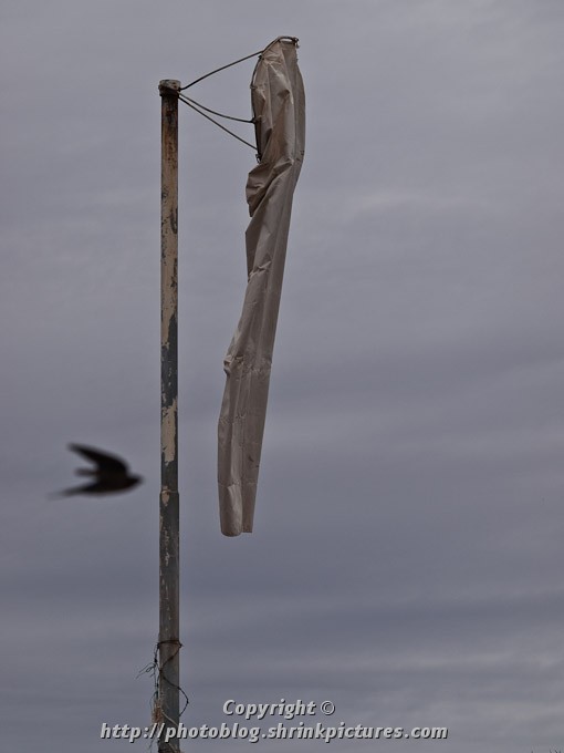 No Wind