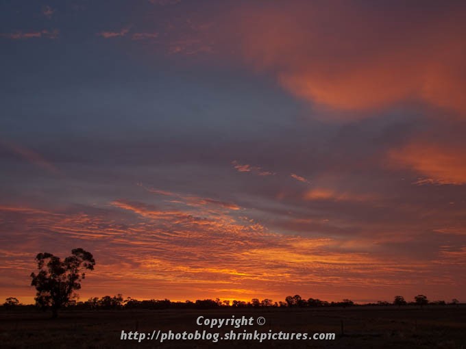 Fire In the Sky