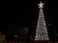 Christmas tree at night