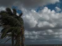 the storm