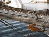 Bowsprit