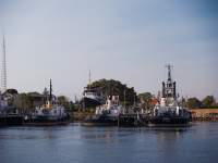 Tugboats in the pen