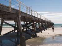 Under the Jetty II