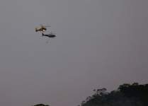 Near Miss