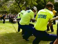customs vs fire brigade