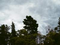 Storm Brewing