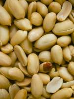 Nuts to you