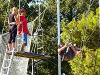 Flying Trapeze