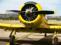Large Engine