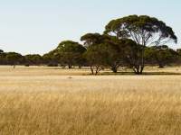 I love a sunburnt country...