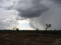 Approaching Storm