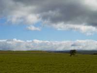 Between Storms