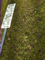 No Parking on the Lawn