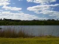 Murray River