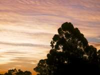 Last Light