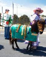 Gift Horse