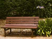 Park Bench