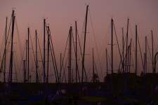 Masts