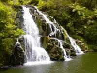 Waterfall in Rainforest