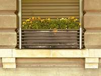 Window Box