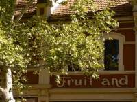 Fruit and ???
