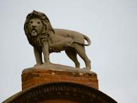 Stone Lion