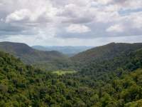 Stormclouds over the Rainforest