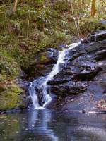 Reflected Waterfall