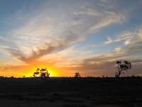 Sunset and Silhouette I