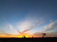 Sunset and Silhouette II