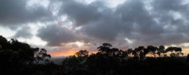 Sunrise