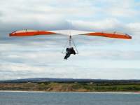 Flying Away