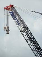 Crane