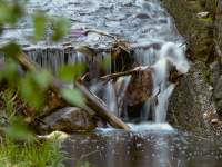 First Creek Waterfall Gully South Australia