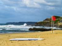 Lifeguard