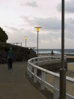 Morning Walk