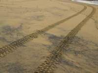 Beach Tracks