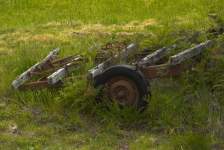 Overgrown