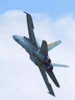 F/A-18 Hornet