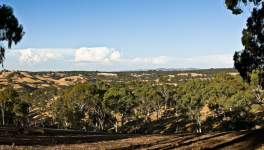 Pano Landscape