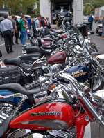 Harley