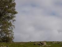 Stormy