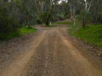 Divided Road