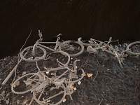 Bicycle Graveyard