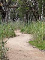 Walking trail